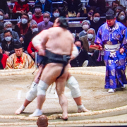 220116　大相撲初場所、横綱照ノ富士vs隠岐の海 /Z7

